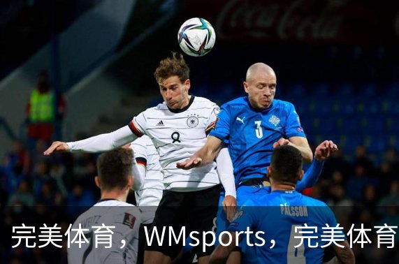 完美体育，WMsports，完美体育官方，完美体育平台，完美体育下载简介