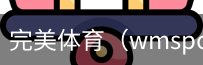 完美体育，WMsports，完美体育官方，完美体育平台，完美体育下载